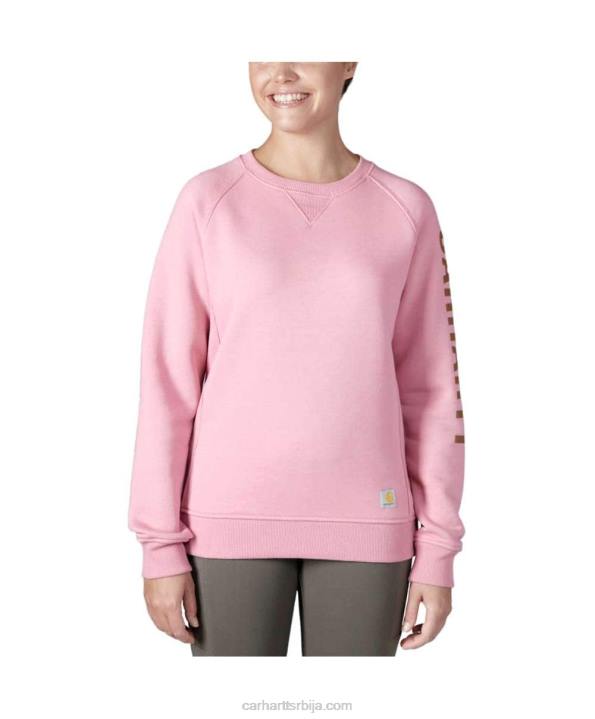 4042L210 Carhartt асфалт вријес неп дуксерица опуштеног кроја средње тежине са округлим изрезом са графичким рукавима Жене