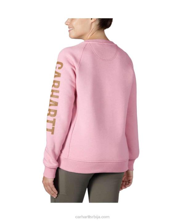 4042L210 Carhartt асфалт вријес неп дуксерица опуштеног кроја средње тежине са округлим изрезом са графичким рукавима Жене