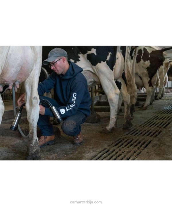 4042L38 Carhartt алпски плави вријесак дуксерица средњег кроја са графичким рукавима са логотипом мушкарци